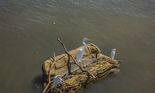 
                                        
                                            Exposição fotográfica retrata impacto ambiental do descarte de lixo em praias
                                        
                                        