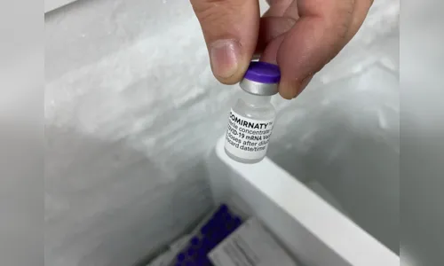 
				
					Mais de 62 mil doses de vacinas da Pfizer são distribuídas para cidades da PB
				
				