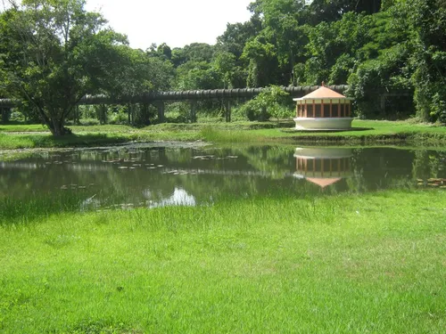 
				
					Mesmo sem título de 2ª cidade mais verde do mundo, capital é sinônimo de meio ambiente
				
				