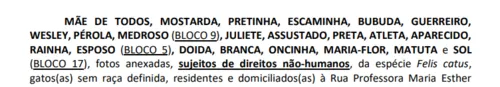 
				
					Mais de 20 gatos entram na Justiça contra condomínio que tenta impedir animais no local
				
				