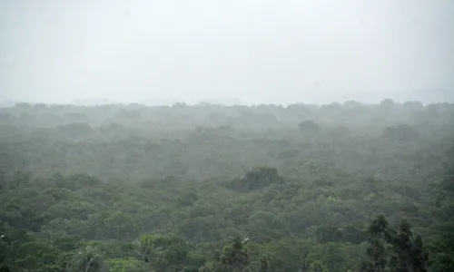 
                                        
                                            Inmet emite alerta de perigo potencial de chuvas intensas para 93 municípios da Paraíba
                                        
                                        