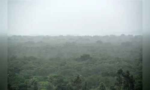 
				
					Inmet emite alerta de perigo potencial de chuvas intensas para 93 municípios da Paraíba
				
				