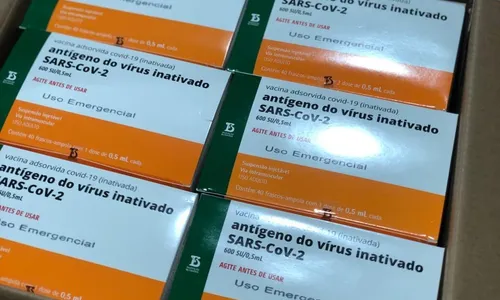 
                                        
                                            Paraíba recebe novo lote com mais de 86 mil doses de CoronaVac nesta quinta (26)
                                        
                                        