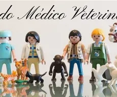 Parabéns a todos os médicos veterinários!