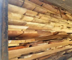 Caminhão com mais de 50 toneladas de madeira ilegal é apreendido no Sertão da PB