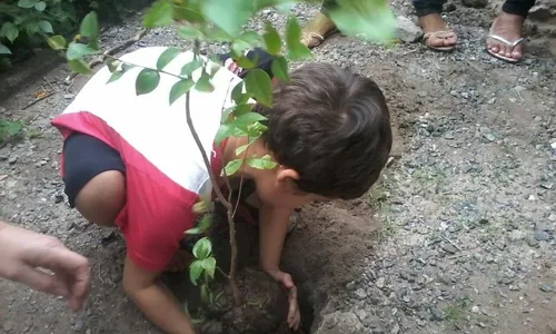 
                                        
                                            Projeto trabalha educação ambiental com crianças e adolescentes de João Pessoa
                                        
                                        