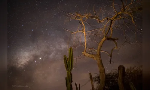 
				
					Astrofotografia: conheça segredos e dicas de como tirar fotos do céu noturno
				
				