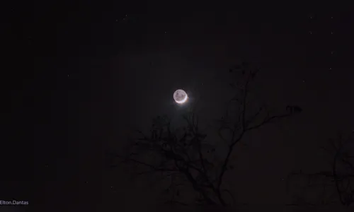 
				
					Astrofotografia: conheça segredos e dicas de como tirar fotos do céu noturno
				
				