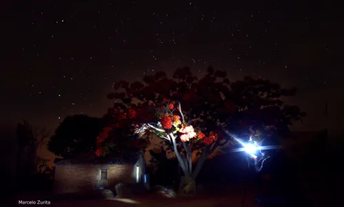 
				
					Astrofotografia: conheça segredos e dicas de como tirar fotos do céu noturno
				
				