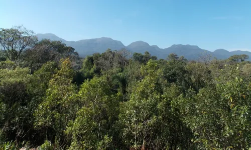 
                                        
                                            Paraíba perdeu 9 mil hectares de Mata Atlântica entre 1985 e 2020, diz MapBiomas
                                        
                                        