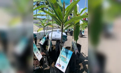 
				
					'Paraíba Terra Verde' realiza primeira distribuição de mudas de árvores em Cabedelo
				
				