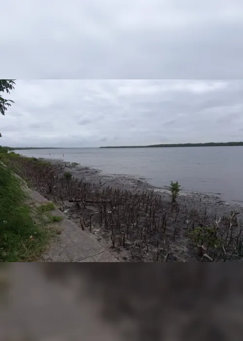 
                                        
                                            Vegetação do mangue é cortada sem autorização na praia do Jacaré, em Cabedelo
                                        
                                        