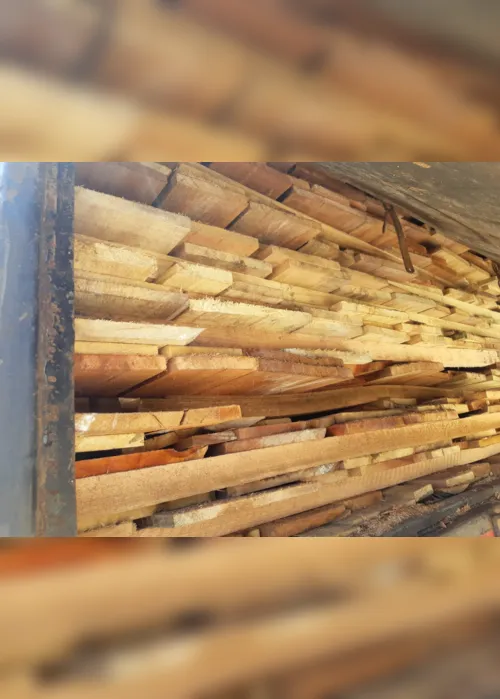 
                                        
                                            Caminhão com mais de 50 toneladas de madeira ilegal é apreendido no Sertão da PB
                                        
                                        