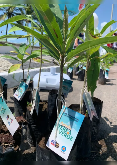 
                                        
                                            'Paraíba Terra Verde' realiza primeira distribuição de mudas de árvores em Cabedelo
                                        
                                        