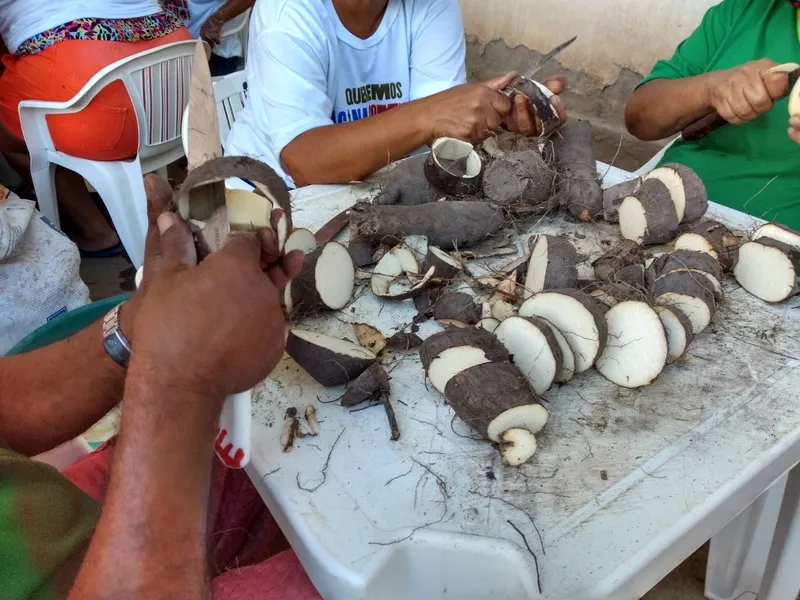 ‘Quem tem fome não espera’: cozinha solidária alimenta 800 pessoas por dia em Campina Grande