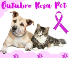 Outubro Rosa: você sabia que cadelas e gatas também sofrem com câncer de mama?