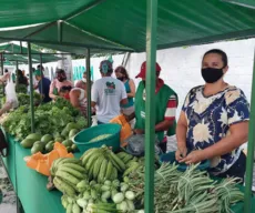 Feiras agroecológicas e venda de orgânicos em João Pessoa