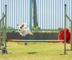 Tutor animado, cão desportista!