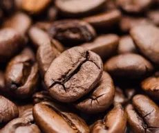 Qual é o maior produtor de café do mundo? Veja lista