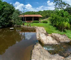 Areia recebe Festival de Flores a partir desta sexta-feira (15)