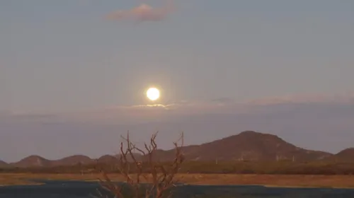 
				
					A caatinga está morrendo: Paraíba tem 45 cidades em risco de desertificação
				
				