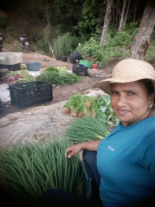 
				
					Empreendedorismo feminino e empoderamento ajudam mulheres a conquistar espaço no meio rural
				
				