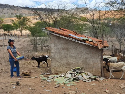 
				
					Empreendedorismo feminino e empoderamento ajudam mulheres a conquistar espaço no meio rural
				
				