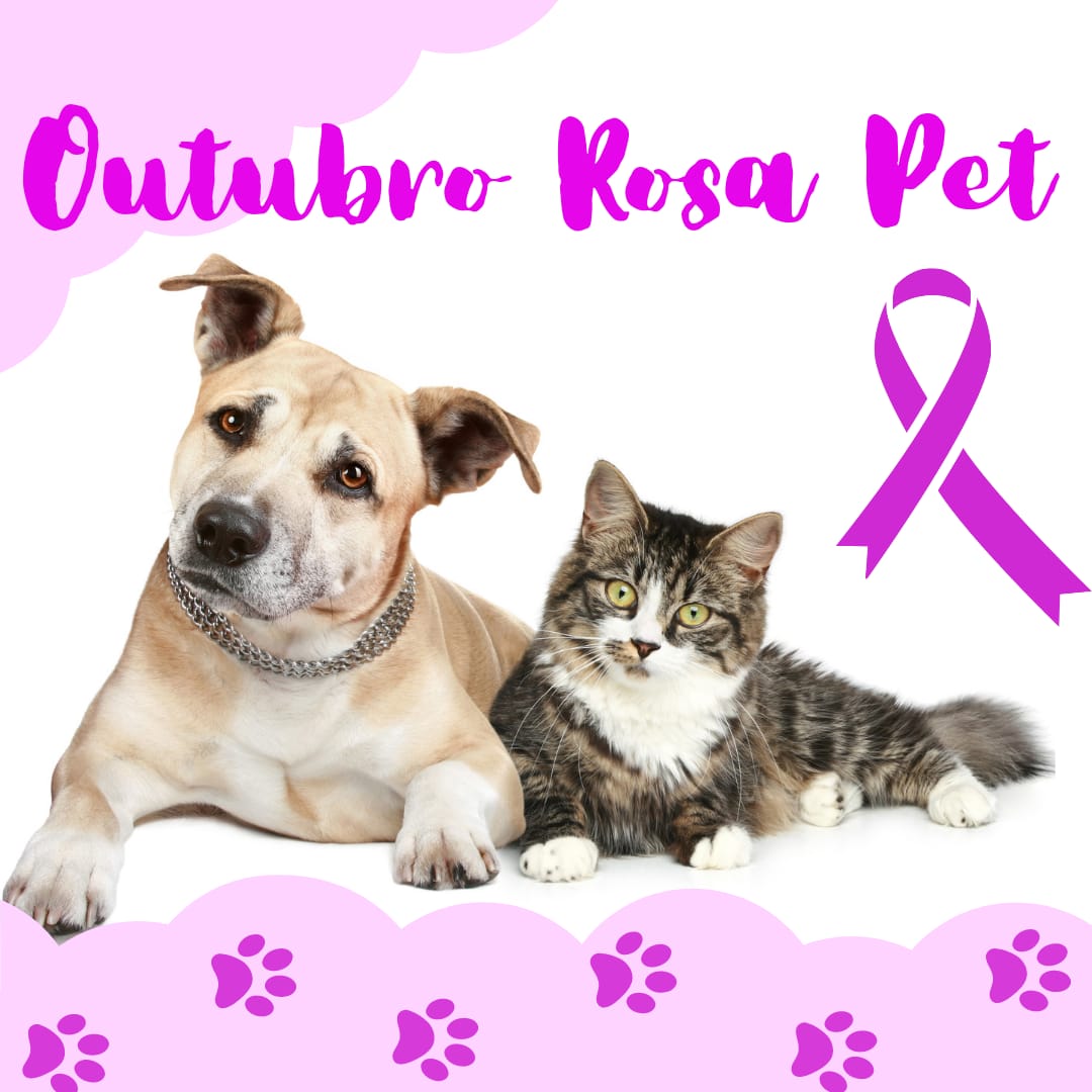 
                                        
                                            Outubro Rosa: você sabia que cadelas e gatas também sofrem com câncer de mama?
                                        
                                        