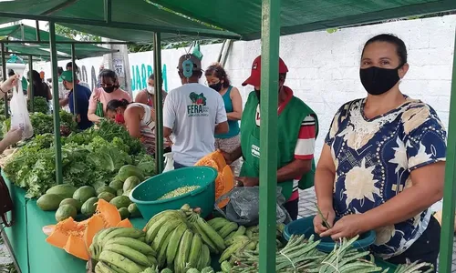 
                                        
                                            Empreendedorismo feminino e empoderamento ajudam mulheres a conquistar espaço no meio rural
                                        
                                        