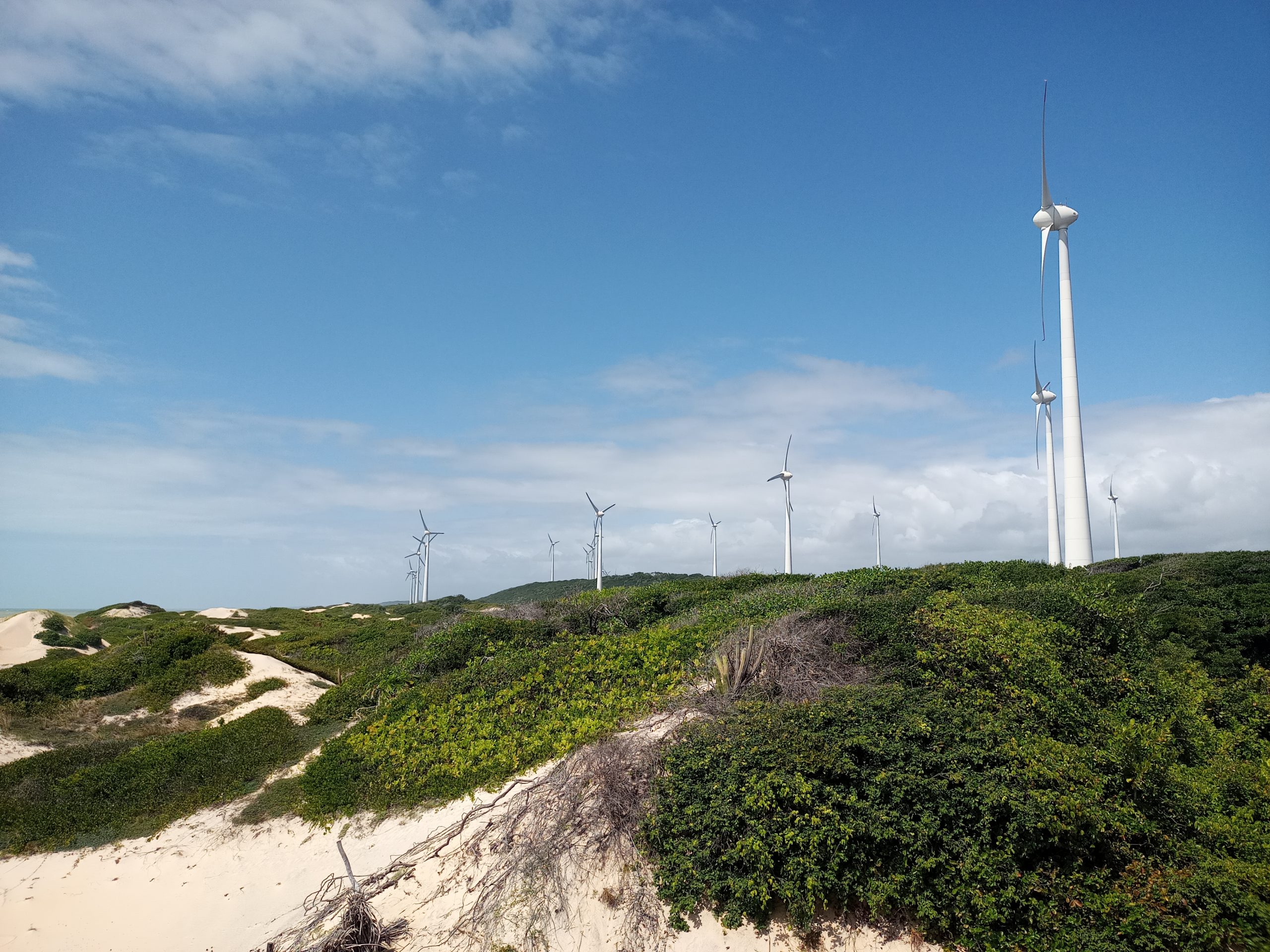 Com corredor de vento e ilha de calor, Paraíba avança na produção de energias renováveis