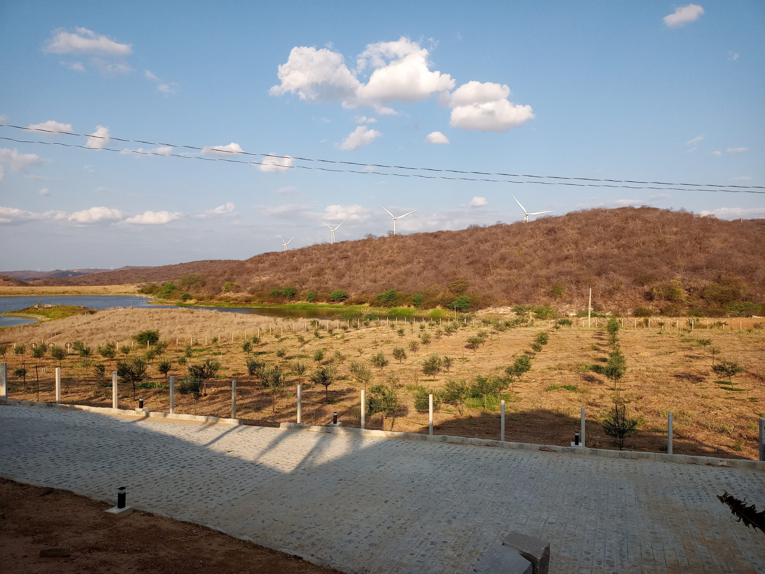 Com corredor de vento e ilha de calor, Paraíba avança na produção de energias renováveis