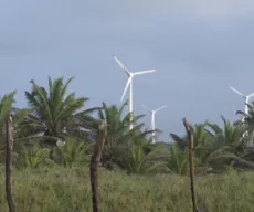 Impactos socioambientais de usinas eólicas e solares na Paraíba são investigados
