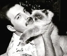 Os filhos felinos de Freddie Mercury
