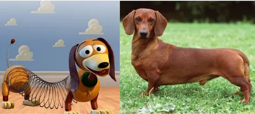 
				
					Personagens caninos que fizeram história e suas raças
				
				