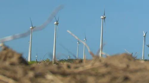 
				
					Paraíba triplica capacidade de geração de energia eólica
				
				