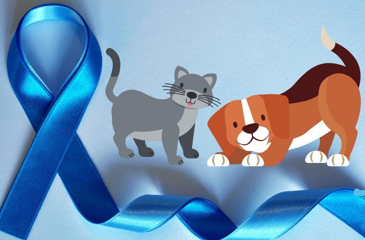 
                                        
                                            Novembro Azul Pet - animais também podem sofrer com câncer de próstata
                                        
                                        