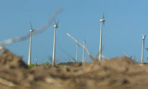 
				
					Paraíba triplica capacidade de geração de energia eólica
				
				