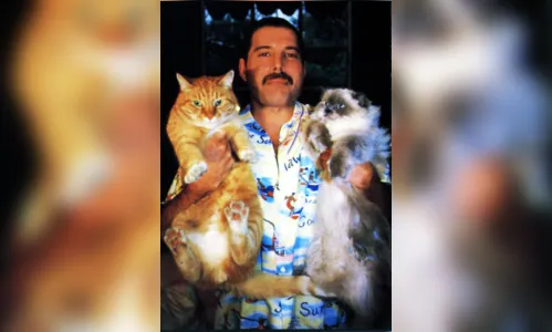 
				
					Os filhos felinos de Freddie Mercury
				
				