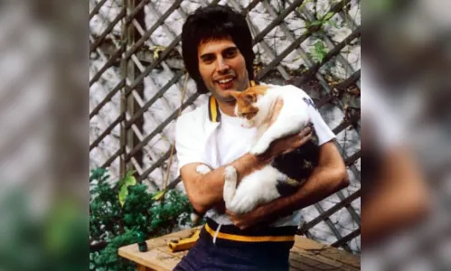 
				
					Os filhos felinos de Freddie Mercury
				
				