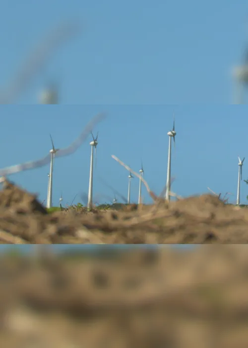 
                                        
                                            Paraíba triplica capacidade de geração de energia eólica
                                        
                                        