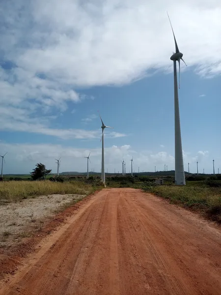 Ventos regulares e constantes transformam o Sertão paraibano em potência eólica