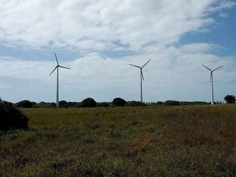 Ventos regulares e constantes transformam o Sertão paraibano em potência eólica