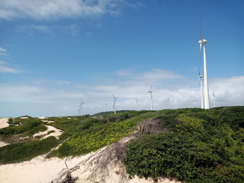 Com corredor de vento e ilha de calor, Paraíba avança na produção de energias renováveis