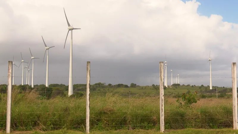 Ventos regulares e constantes transformam o Sertão paraibano em potência eólica