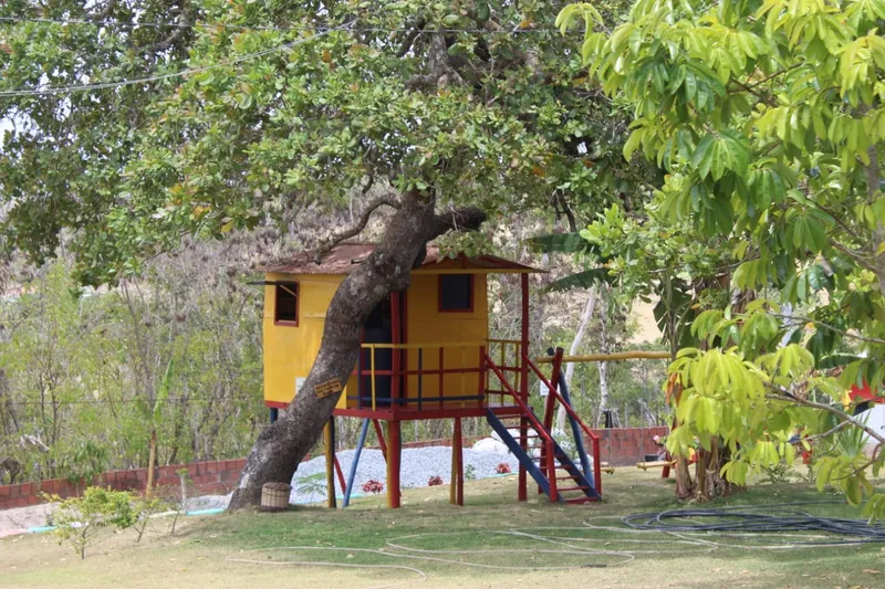 Paraíba criativa: mulher empreendedora, sim, senhora