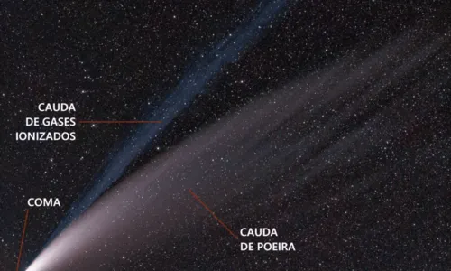 
                                        
                                            Cometa Leonard pode ser visto na Paraíba, mas astrônomo alerta dificuldade a olho nu
                                        
                                        