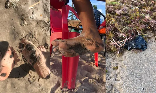 
                                        
                                            Manchas de óleo são encontradas em praias de Cabedelo e preocupam banhistas
                                        
                                        