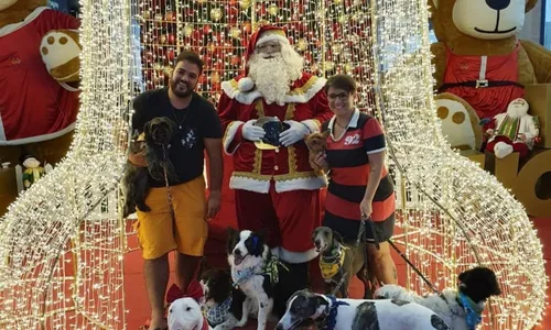 
                                        
                                            O que vestir (ou NÃO vestir) em nossos pets nas festas de fim de ano
                                        
                                        