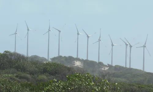 
                                        
                                            Município de Mataraca poderá cobrar taxa de empresas de energia eólica, decide TJPB
                                        
                                        