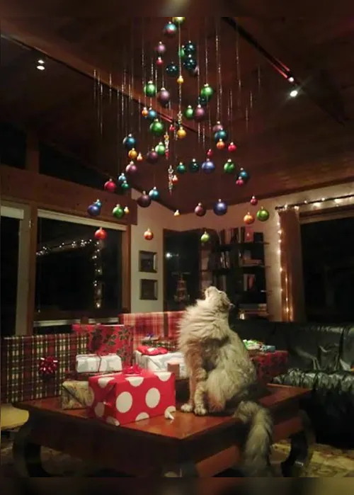 
                                        
                                            Como manter a decoração de Natal em casas com cães e gatos?
                                        
                                        